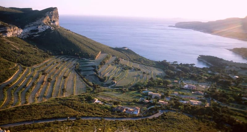 Marseille Vieux Port & Wine Tasting - Private Tour - Starting in Marseille: Vieux Port and the view from Notre Dame de la Garde