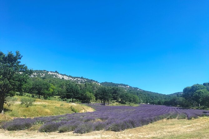 Pearls of Luberon : Gordes, Rousillon & Sénanque Abbey - Key Highlights You’ll Actually Care About