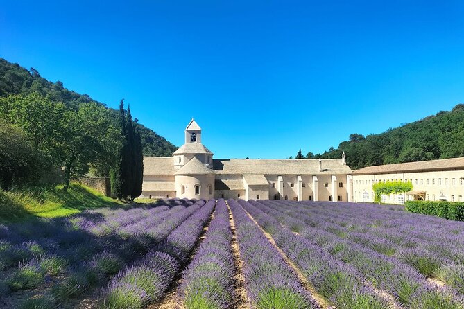 Pearls of Luberon : Gordes, Rousillon & Sénanque Abbey - Abbaye Notre-Dame de Sénanque: Medieval Architecture and Lavender-Filled Photos