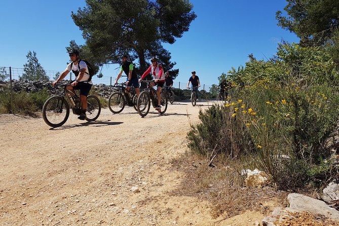 Private ebike tour to Calanques or city - Key points worth knowing before you go