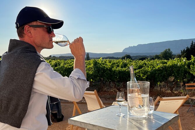 Private Full Day Wine Tour in Provence - Inside the Three-Winery Plan: Tastings That Teach You Something