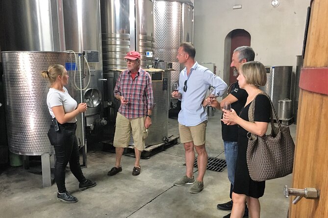 Private Full Day Wine Tour in Provence - The Guide Experience: Friendly, Personal, and Built for Questions
