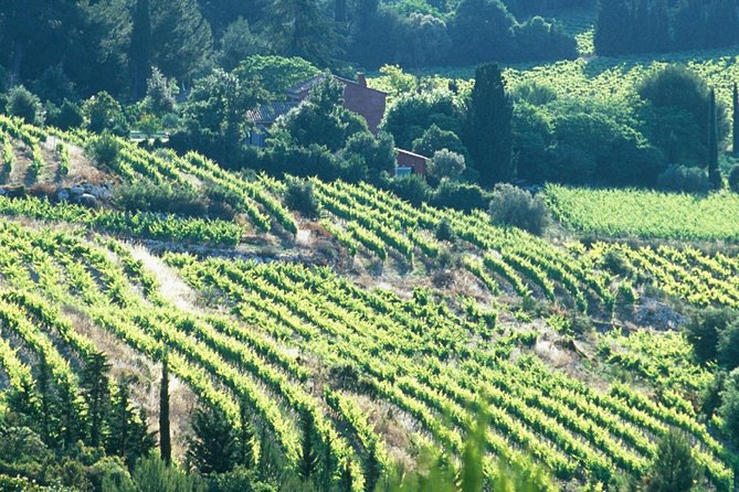 Private Full Day Wine Tour in Provence - What to Pack and How to Dress for a Provence Wine Day