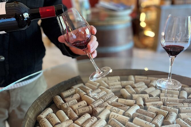 Private Full Day Wine Tour in Provence From Marseille cruise port - Meeting your guide at 9am and settling into a small-group minivan