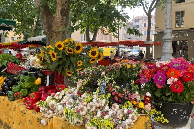 Private Full Day Wine Tour in Provence From Marseille cruise port - Tasting smarter: what the guide coaching changes for you