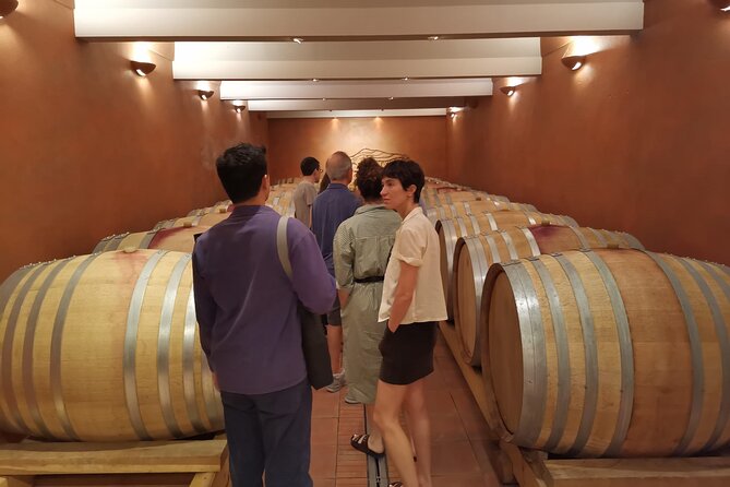 Private Full Day Wine Tour in Provence From Marseille cruise port - The free-time town break: Cassis, Lourmarin, or Aix-en-Provence