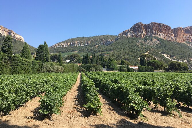 Private Full Day Wine Tour in Provence From Marseille cruise port - Getting back to Marseille: what “on-time” really means