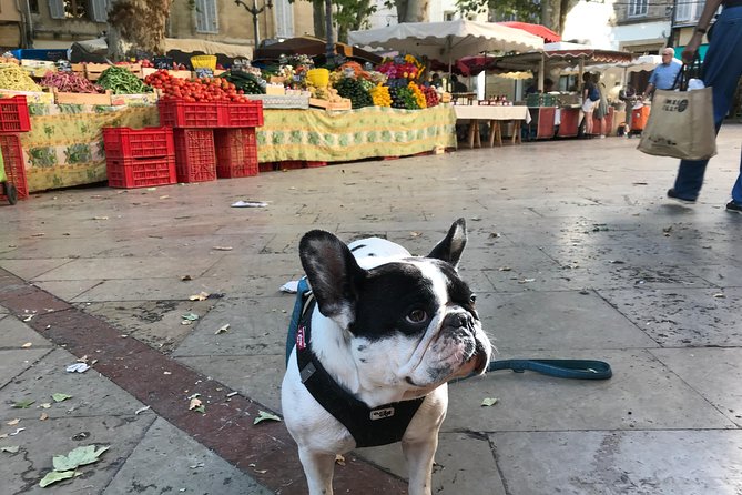 Provençal Farmers market tour - Marché Richelme: produce, seafood, and cheese with an expert filter