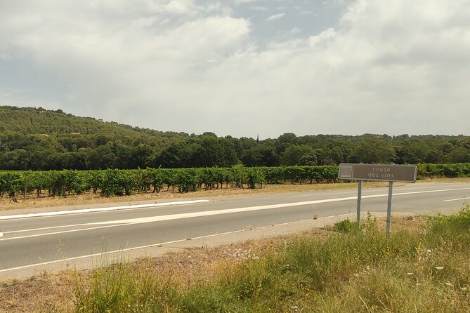 Provençal Morning Farmers Market & Food Discovery Tour - Cash, Lunch, and the Simple Reality of Buying Food