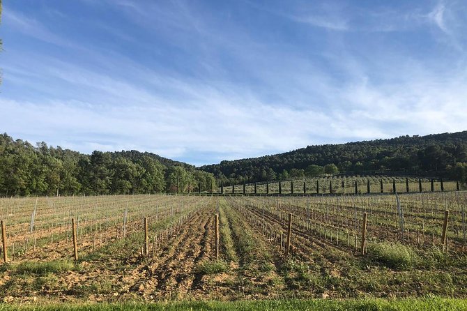 Provence at your own pace and at your leisure! - Aix en Provence on Cours Mirabeau: fountains, cathedral time, and Cézanne country
