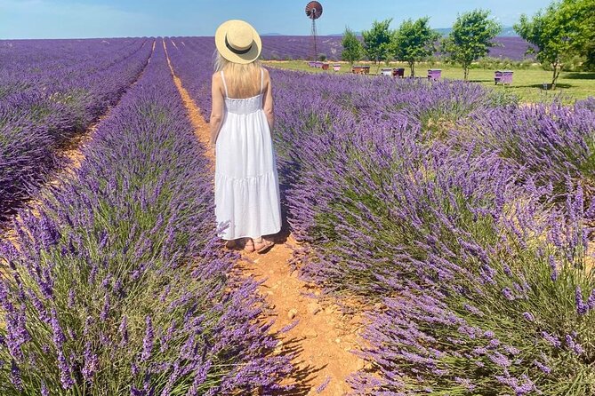 Provence Lavender Fields Tour from Aix-en-Provence - Morning, Afternoon, or Full Day: How the Timing Works