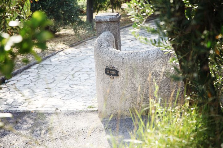 Provence Olive Harvest - The First Hour: Property Walk Through Vines, Herbs, Beehives, and Truffle Trees