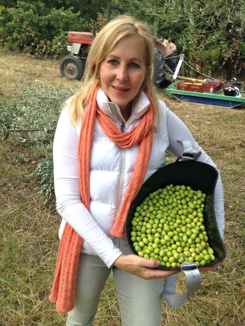 Provence Olive Harvest - Should You Book the Provence Olive Harvest at Les Pastras?