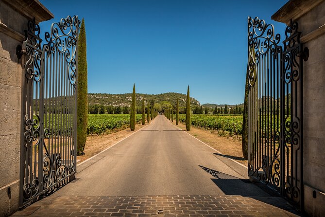 Provence small group half-day wine tour from Aix - Small-group pacing and comfort: 8 people, 1 minivan