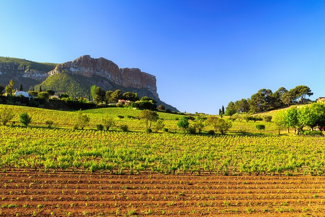 Provence Small Group Wine Full Day Tour in Chateauneuf du Pape vineyard from Aix - Lunch Between Stops: Plan for a French-Style Day
