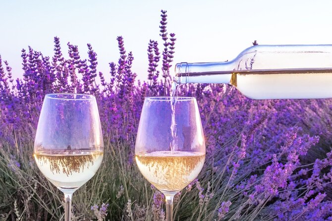 Provence Small Group Wine Full Day Tour in Chateauneuf du Pape vineyard from Aix - Buying Bottles: How You Can Bring Provence Home