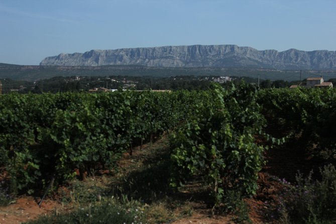 Provence Wineries and Luberon Villages Day Trip from Aix-en-Provence - Why This Aix to Luberon Wine-and-Villages Plan Works