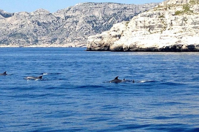 Sailing day in the heart of the Calanques - Calanque de Sormiou: The Swim-First Cove