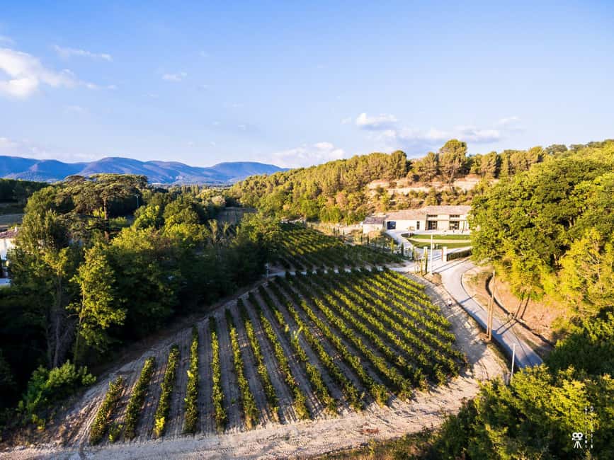 Self tour of the olive oil mill & olive oil tasting - Provence’s Olive-Oil Lesson Plan, Without the Fuss