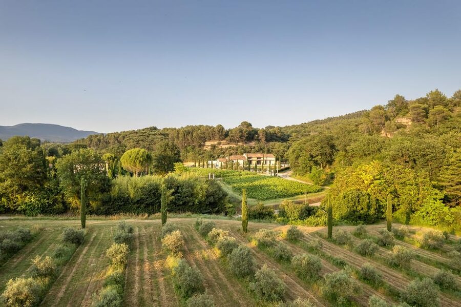 Self tour of the olive oil mill & olive oil tasting - The Extras That Make This Feel Like a Real Provençal Stop