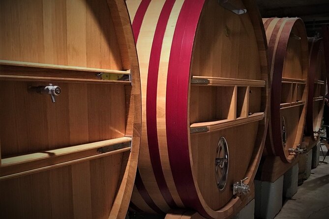 Short Day Tour around Aix en Provence and Wine Tasting - A real tasting lesson: learning the method behind the sip