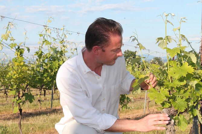 Short Day Tour around Aix en Provence and Wine Tasting - Price and value: is $144.35 a good deal?