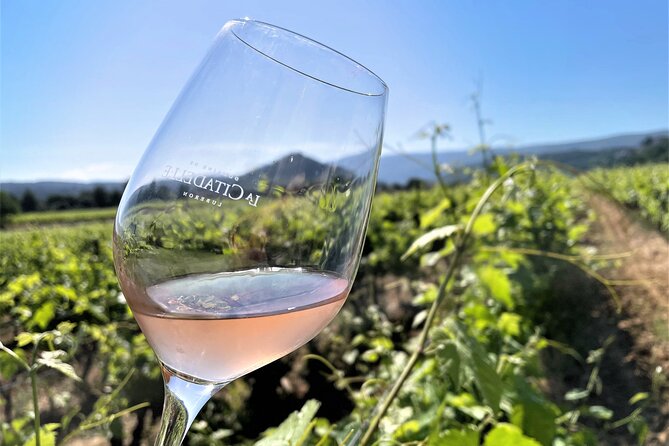 Short Day Tour around Aix en Provence and Wine Tasting - Who should book this tour (and who should skip it)