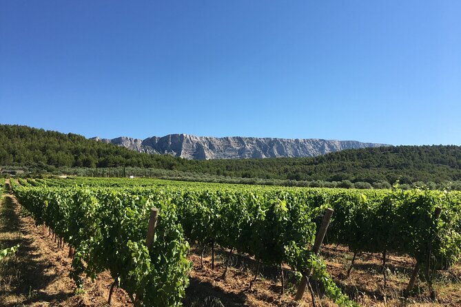 Short Day Tour around Aix en Provence and Wine Tasting - Aix-en-Provence in 90 minutes: streets, lunch, and the daily market
