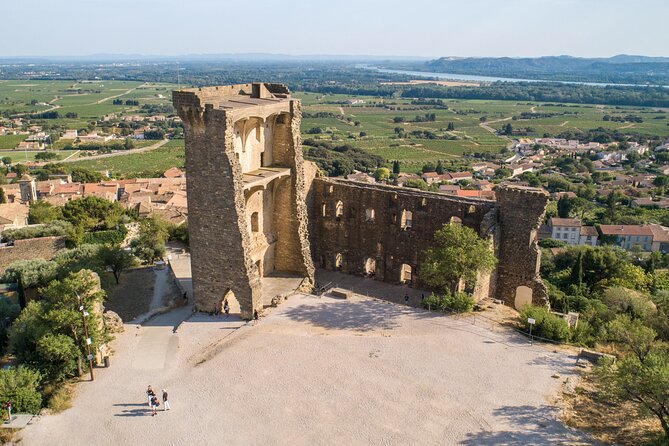 Small Group Marseille Shore Excursion : Avignon & Chateauneuf du Pape Wine Tour - Price and Inclusions: Does $191 Feel Fair for What You Get?