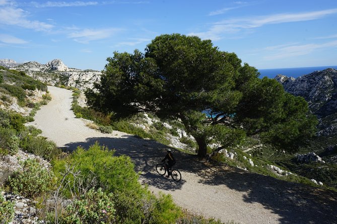 Sormiou Calanques National Park Electric Bike Tour from Marseille - Reaching Sormiou Calanque: effort, options, and that port-and-beach payoff