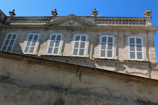St Rémy de Provence & Arles Julius Caesar to Vincent Van Gogh - Who should book this Arles + Saint-Paul de Mausole tour