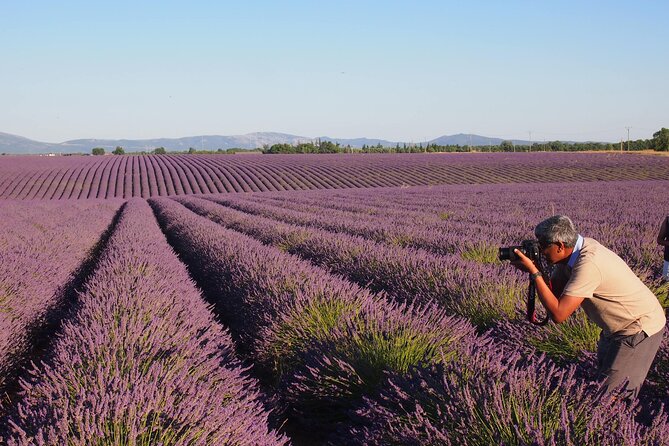 Sunset Lavender Tour in Valensole with pickup from Marseille - Guides and van comfort: small details that change the whole trip