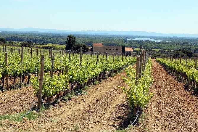 Two intensive days discover exceptional wines of the Rhône valley - A two-day Rhône wine sprint starting with pickup from Marseille