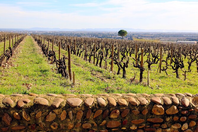 Two intensive days discover exceptional wines of the Rhône valley - Meals and breaks that keep the pace human