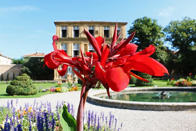 Two intensive days discovering the exceptional wines of Provence - Key highlights worth planning for