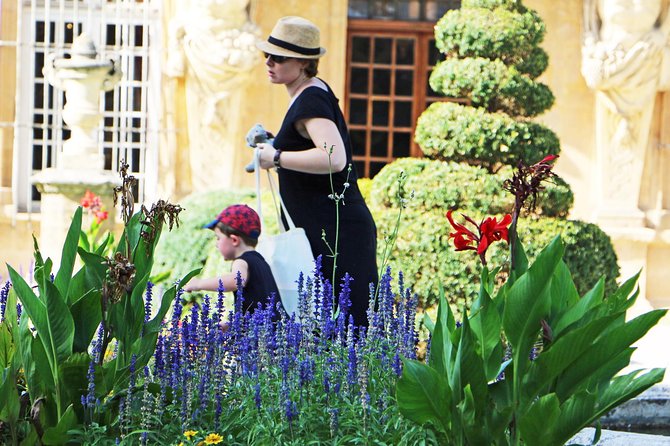 Two intensive days discovering the exceptional wines of Provence - Morning logistics: pickup, timing, and the mobile ticket