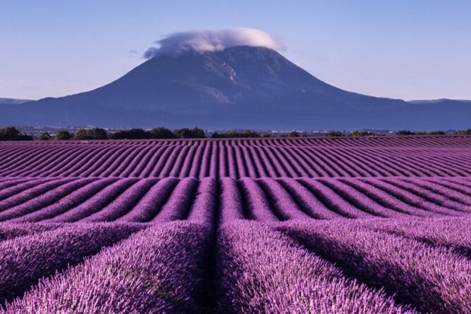 Visit the lavender fields, the Gorges du Verdon and Moustiers. - A private Provence day built for photos and real time